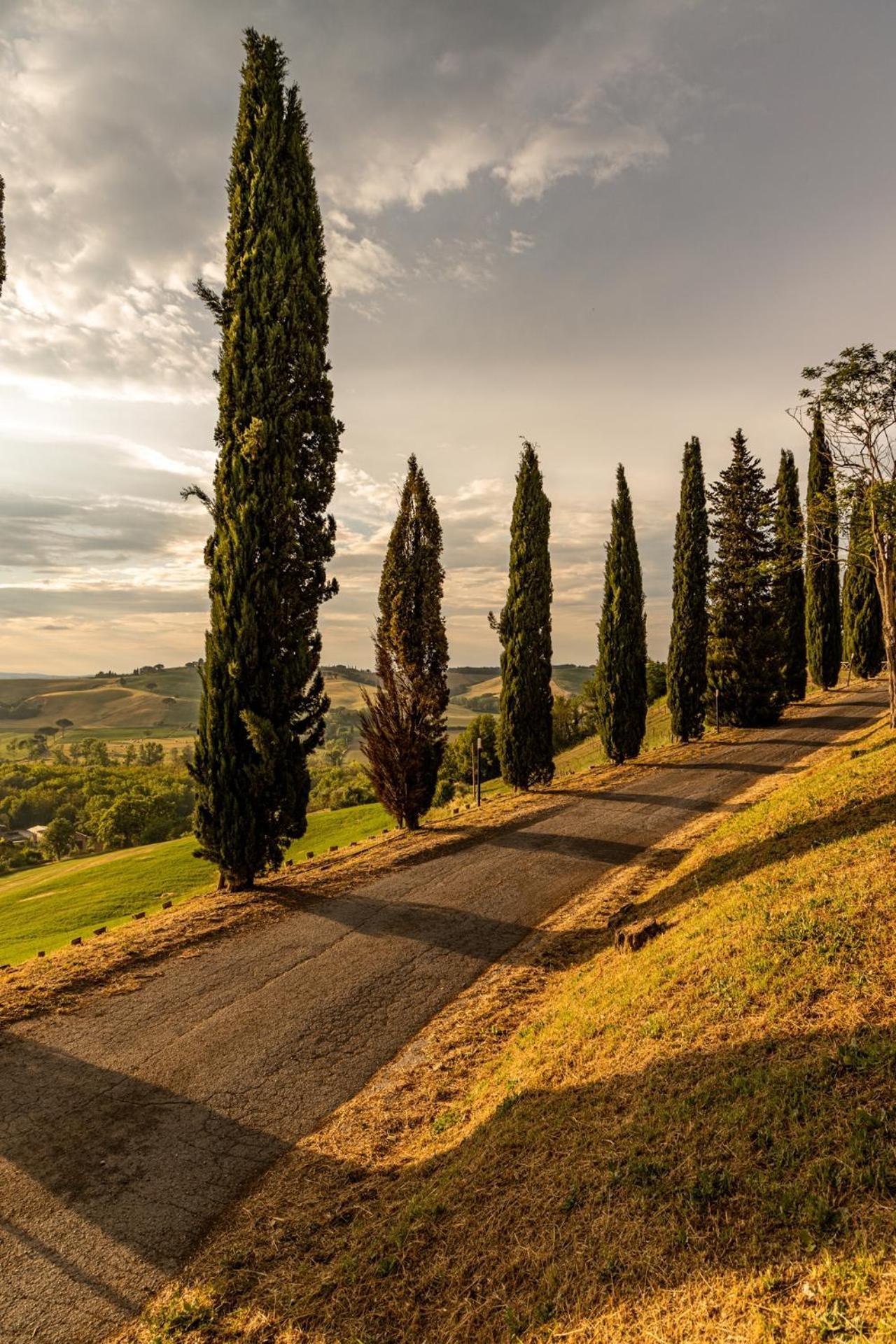 Agriturismo Percenna Buonconvento Exteriér fotografie