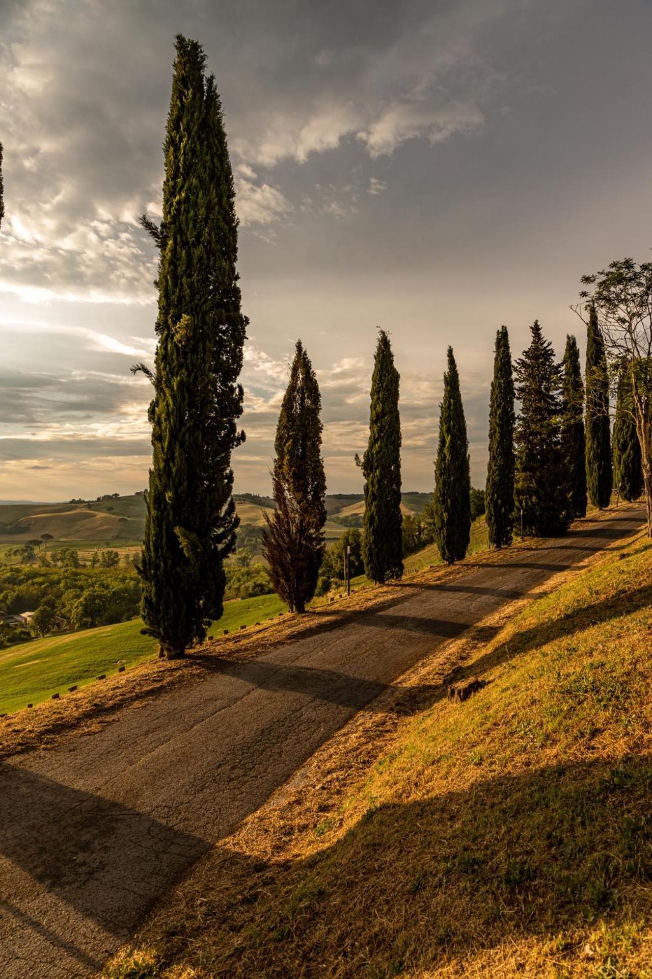 Agriturismo Percenna Buonconvento Exteriér fotografie